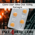 Cómo Usar Jalea Oral 100Mg Kamagra 24